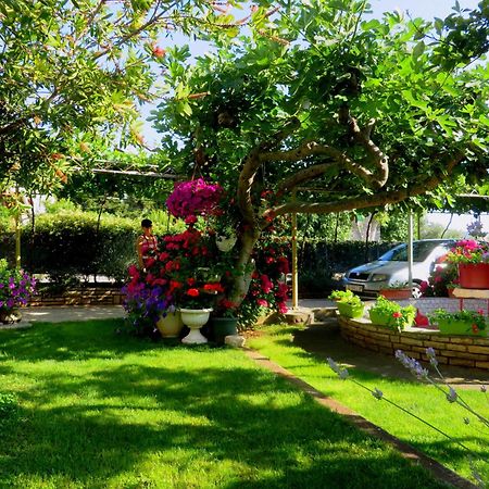 Beach Apartments Roza - The Garden Apartment Биоград-на-Мору Экстерьер фото